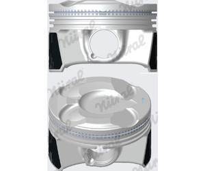 Piston Nüral 87-444800-50