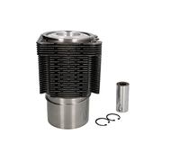 Pistons et anneaux 40483960