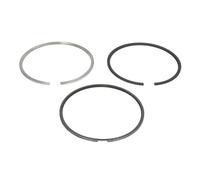 Pistons et anneaux 800076010050