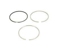 Pistons et anneaux 800101710000