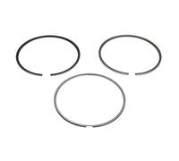 Pistons et anneaux 800110310000