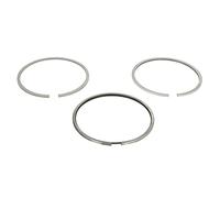 Pistons et anneaux 800116210000