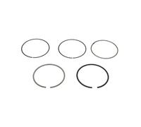 Pistons et anneaux 800116710050