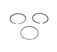 Pistons et anneaux 800117310000