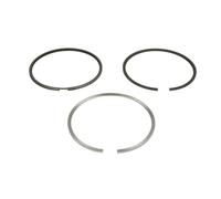 Pistons et anneaux 800118310000