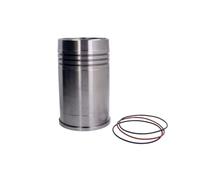 Pistons et anneaux 89900110