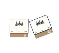 pistro Gomme à mâcher reminéralisante bio - Mastic menthe et cannelle sans sucre pour la santé des dents et des gencives, garde la bouche fraîche, fraîcheur durable (lot de 2) (mélange)