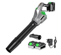 Pitadue Souffleur de feuilles sans fil 220 V haute puissance pour la maison, le jardin, les feuilles de neige, le nettoyage industriel avec 2 piles et adaptateur d'alimentation