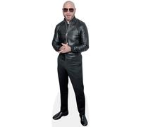 Pitbull (Leather Jacket) Silhouette en Carton Taille Mini
