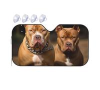 Pitbull - Pare-soleil pliable pour pare-brise de voiture 2025 - Pare-soleil de voiture amusant pour fenêtre avant - Protection solaire intérieure de voiture - Taille S