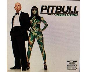 Pitbull - Pitbull Starring In Rebelution - Edited
