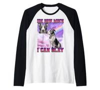 Pitbull Pittie Funny Meme Internet Culture Gen Z Sarcastique Manche Raglan