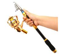 Pite canne à pêche extensible, canne à pêche moulin- Canne à pêche à poignée ergonomique - Ensemble de cannes à pêche télescopiques légères, pour eau douce eau salée