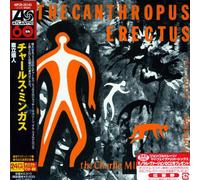 Pithecanthropus Erectus