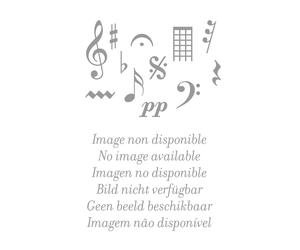 Pitions Ch - Monteverdi Laetatus Sum S5 1650