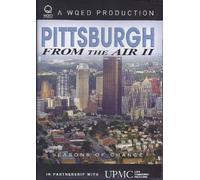 Pittsburgh From the Air II