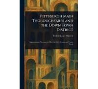Pittsburgh Main Thoroughfares And The Down Town District