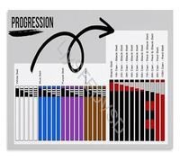 PIUHRKLEVD BJJ Brazilian Jiu-Jitsu Belt Rank System Color Guide Educational Reference Poster Grappling Training Wall-Art Home Decor Gift(Framed,08x12inch(20x30cm))