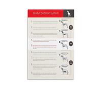 PIUHRKLEVD Body Condition Score BCS Chart for All Animals Veterinary Reference Poster Farm and Pet Clinic Wall-Art Health Monitoring Guide(Unframed,16x24inch(40x60cm))