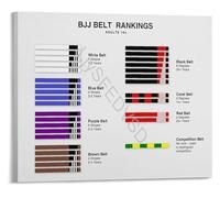 PIUHRKLEVD Martial Arts Grappling Belt Rank Order System Guide BJJ Brazilian Jiu-Jitsu Educational Reference Poster Gift Idea for Him(Framed,12x18inch(30x45cm))