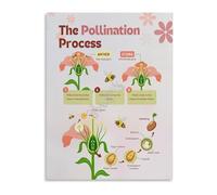 PIUHRKLEVD Process of Pollination Science Poster Educational Wall-Art for Classroom Study Room Decor(Unframed,16x24inch(40x60cm))