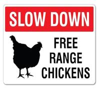 PIUHRKLEVD Slow Down Range Chickens Funny Farm Tin Sign 12x8 Inch