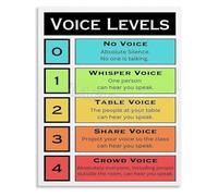 PIUHRKLEVD Teachers Classroom Decor Metal Tin Sign Voice Level Chart Poster For Behavior Management In School And Class 8 X 12 inch