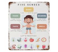 PIUHRKLEVD Vintage Five Senses Chart Tin Metal Sign Sensory Learning Retro Wall-Art for Room Preschool Classroom Decor 8 X 12 Inch