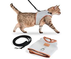 PiuPet® Harnais Chat et Laisse (M) I 1,2m Laisse I Anti Évasion I Collier I Pour Chaton, Petit Chien et Chat Adulte