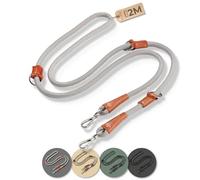PiuPet® Laisse Chien 2m Réglable - Longe pour Petits et Grands Chiens - Gris