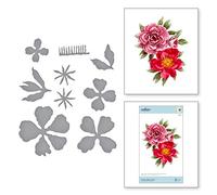 Pivoines doubles et simples