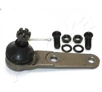 Pivot de bras de suspension arrière 111-04-486 ASHIKA pour HONDA PRELUDE III
