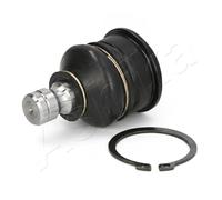 Pivot de bras de suspension Essieu avant 73-01-106 ASHIKA pour NISSAN NOTE