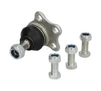 Pivot de bras de suspension Essieu avant 73-01-121 ASHIKA pour RENAULT NISSAN