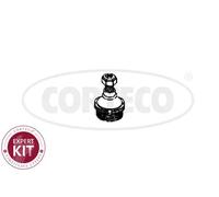 Pivot de bras de suspension Essieu avant droit 49395635 CORTECO pour AUSTIN