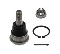 Rotule FEBI BILSTEIN 42674