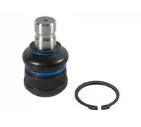 Rotule BLUE PRINT ADBP860001