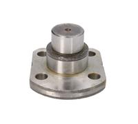 Pivot de fusée CARRARO 130631-CR