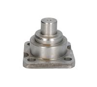 Pivot de fusée CARRARO 143239-CR