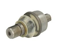 Pivot de fusée CARRARO 144624-CR