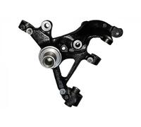 BUGIAD Pivot de roue essieu arrière droit BSP25053 pour VW Audi Seat Skoda