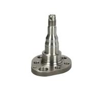BTA H5W028BTA Fusée d'essieu, suspension de roue