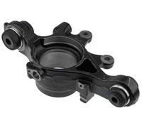 Pivot de roue Essieu arrière gauche ZZT-LR-007 NTY pour LAND ROVER DISCOVERY III