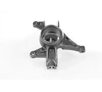 Pivot de roue Essieu avant gauche Fonte GH-293970V GH pour RENAULT MEGANE II