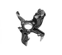 Pivot de roue Essieu avant gauche Fonte KN-101699-01-L OPTIMAL pour SEAT VW AUDI