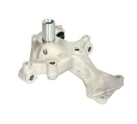 Pivot de roue Porte arrière du véhicule RH08-0005 REINHOCH