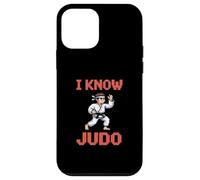Pixel Judo Jeu vidéo 8 Pixels Art Arcade Old School Coque pour iPhone 12 Mini