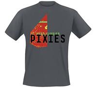 pixies Head Carrier Homme T-Shirt Manches Courtes Gris S, 100% Coton, Regular/Coupe Standard