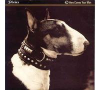 PIXIES - PIXIES HERE COMES THE MAN 12" VINYL