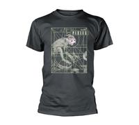 Pixies - T-Shirt - Adulte (XL) (Gris)